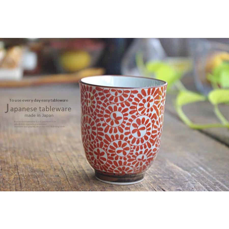 ポンペイ 南西 少なくとも 食器 湯のみ Reo Reo Jp