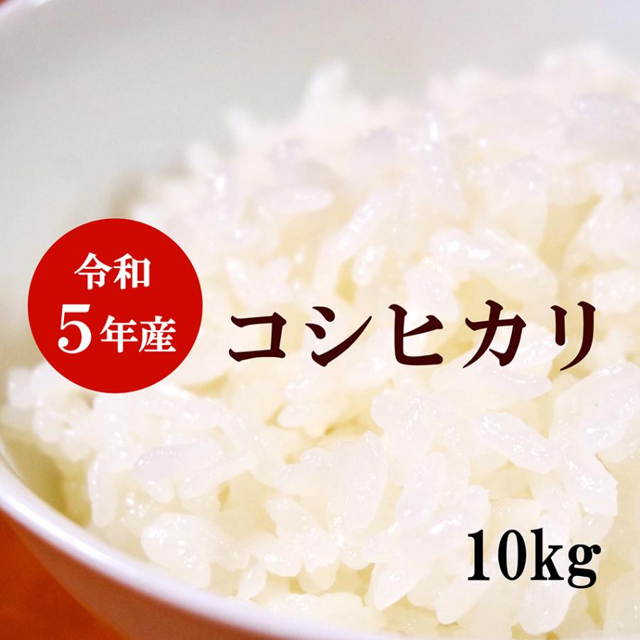 0円クーポン ポイント２倍 令和3年産 新米 コシヒカリ お米 10kg 白米 送料無料 全国最速新米 令和3年産 10kg こしひかり お米 10kg 5kg 2袋 Koshi10 日本ライスカンパニー 通販 Yahoo ショッピング