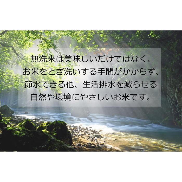 令和4年産／売り尽くし 桜並木と雪景色をイメージした オリジナル袋2種 ひとめぼれ10kg (5kg×2) 無洗米 送料無料 宮城県 登米産 ・沖縄県送料2000円｜ricemiyagi｜04