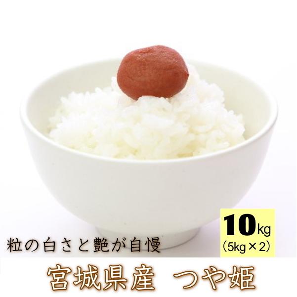 新春タイムセール！ 令和7年産 宮城県産 つや姫 10kg  無洗米 5kg×2 / 白米 5kg×2   要選択 ・沖縄県送料3,000円 爆買 | つや姫
