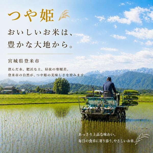 令和7年産 宮城県産 登米産 つや姫 10kg  無洗米 5kg×2 / 白米 5kg×2   要選択 特A地区 検査一等米 【沖縄県送料別途3,000円】 爆買の画像