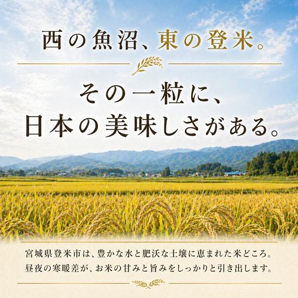 ひとめぼれ 令和7年産 宮城県産 登米産 精米 (白米) 5kg 検査一等米