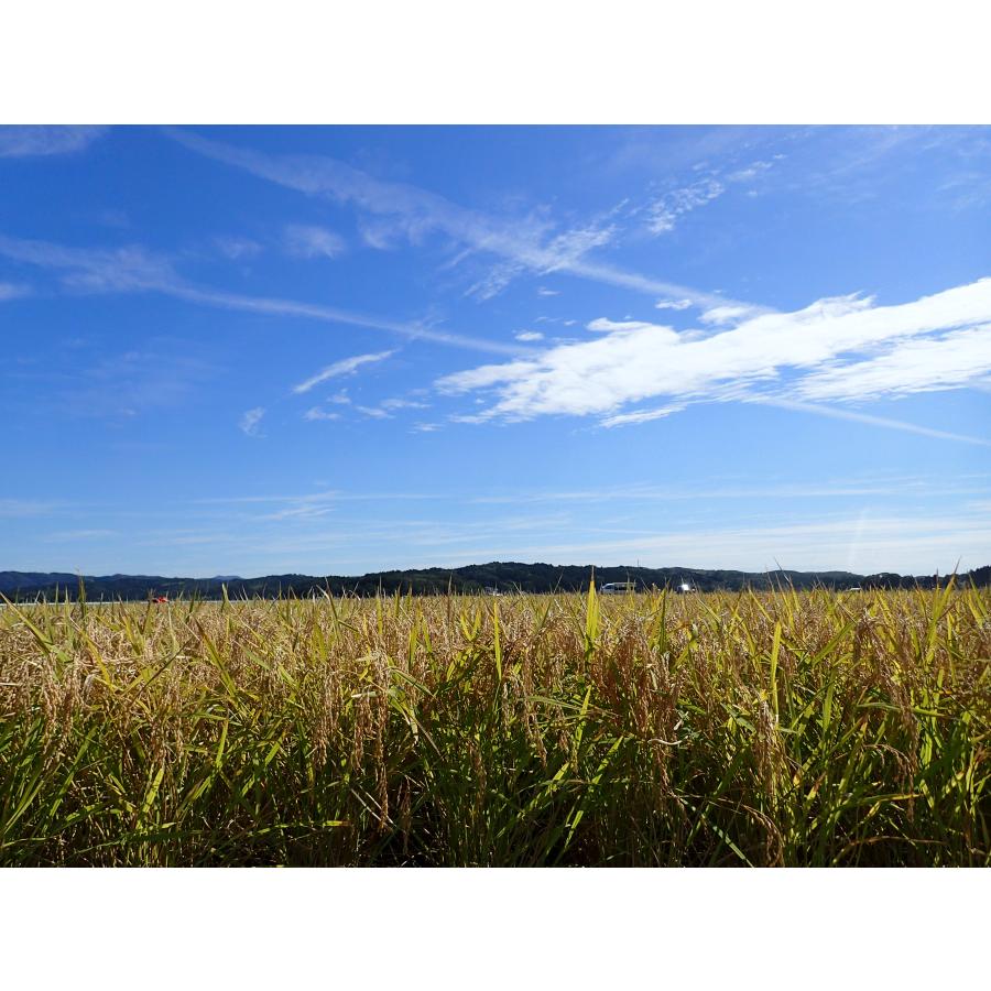 ひとめぼれ 令和6年産 【天日干し】宮城県産 30kg(玄米 10kg ひとめぼれ 令和6年産 【天日干し】宮城県産 30kg(玄米 10kg