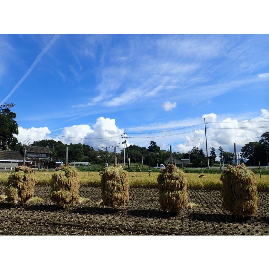 ひとめぼれ 令和6年産 【天日干し】宮城県産 30kg(玄米 10kg ひとめぼれ 令和6年産 【天日干し】宮城県産 30kg(玄米 10kg