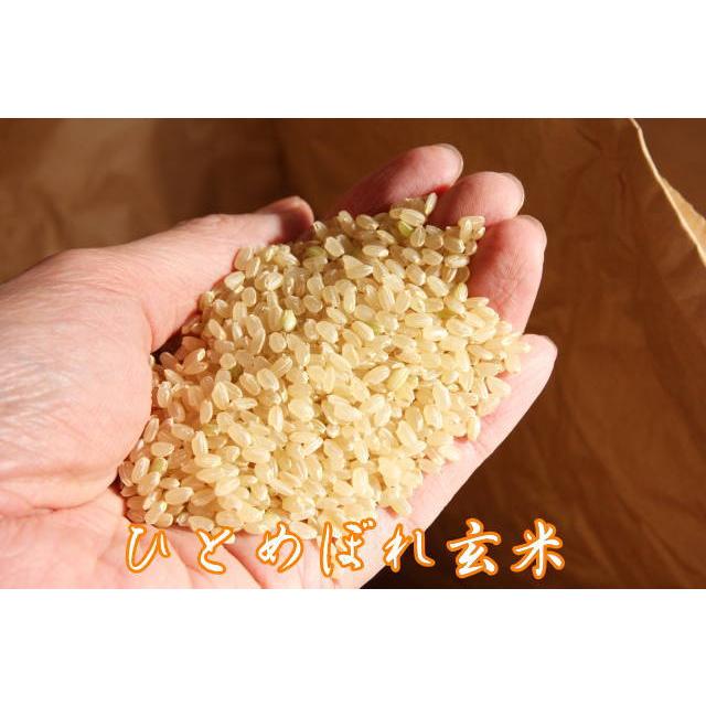 ひとめぼれ 令和6年産 【天日干し】宮城県産 30kg(玄米 10kg ひとめぼれ 令和6年産 【天日干し】宮城県産 30kg(玄米 10kg