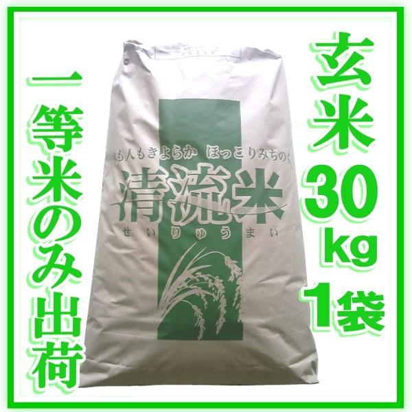 ひとめぼれ 【再入荷未定】 令和6年産 宮城県 登米産 【特別栽培 ひとめぼれ 【再入荷未定】 令和6年産 宮城県 登米産 【特別栽培