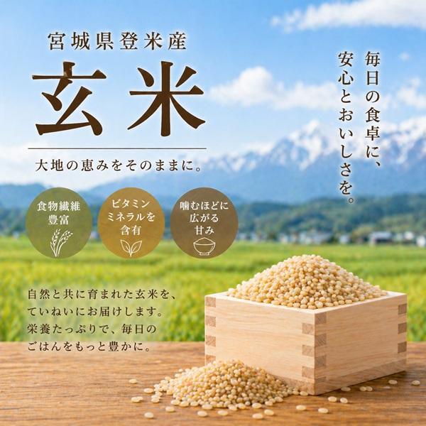 ひとめぼれ 令和7年産 宮城県産 登米産 【特別栽培米】ひとめぼれ 玄米