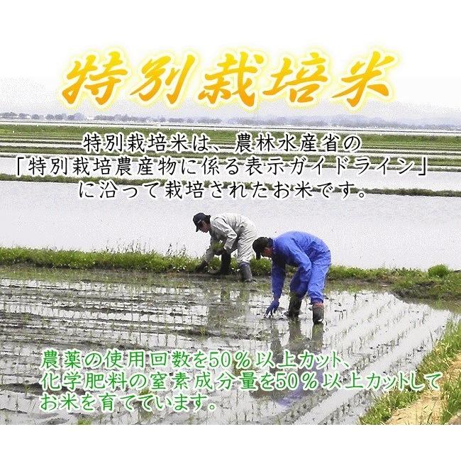 新米 ◇令和4年産◇ 宮城県 登米産 【特別栽培米】 玄米 30kg ひとめぼれ 宮城県認証 1等米 ※沖縄県送料別途3,000円 :togehi3:ライス宮城ヤフー店 - 通販 - Yahoo!ショッピング 新米 ◇令和4年産◇ 宮城県 登米産 【特別栽培米】 玄米 30kg ひとめぼれ 宮城県認証 1等米 ※沖縄県送料別途3,000円 :togehi3:ライス宮城ヤフー店 - 通販 - Yahoo!ショッピング