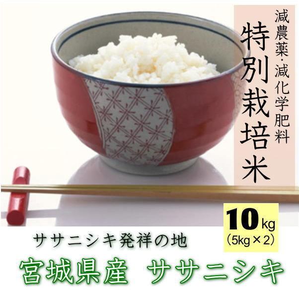 ブランドの通販・買取 【新米】令和4年産 北海道米 ゆめぴりか 玄米