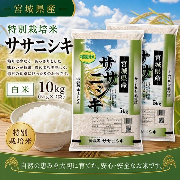 ササニシキ yahoo!ショッピング限定 令和7年産 宮城県産 【特別栽培米