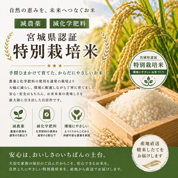 ササニシキ 令和7年産 宮城県産 登米産 【特別栽培米】 玄米30kg 宮城