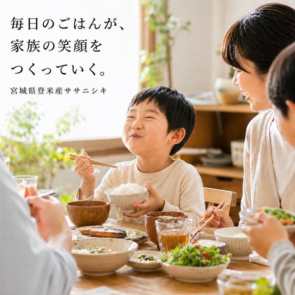 ササニシキ 令和7年産 宮城県産 登米産 【特別栽培米】 玄米30kg 宮城