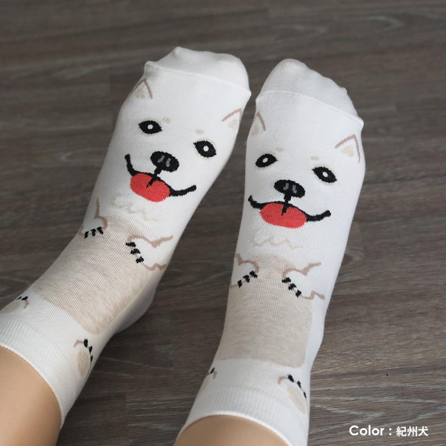 靴下 クルーソックス イヌ 丸ごと ワンコ 犬 おしゃれ 可愛い 犬好き 愛犬家 ギフト プレゼント Rso 0031 Ricerca リチェルカ 通販 Yahoo ショッピング