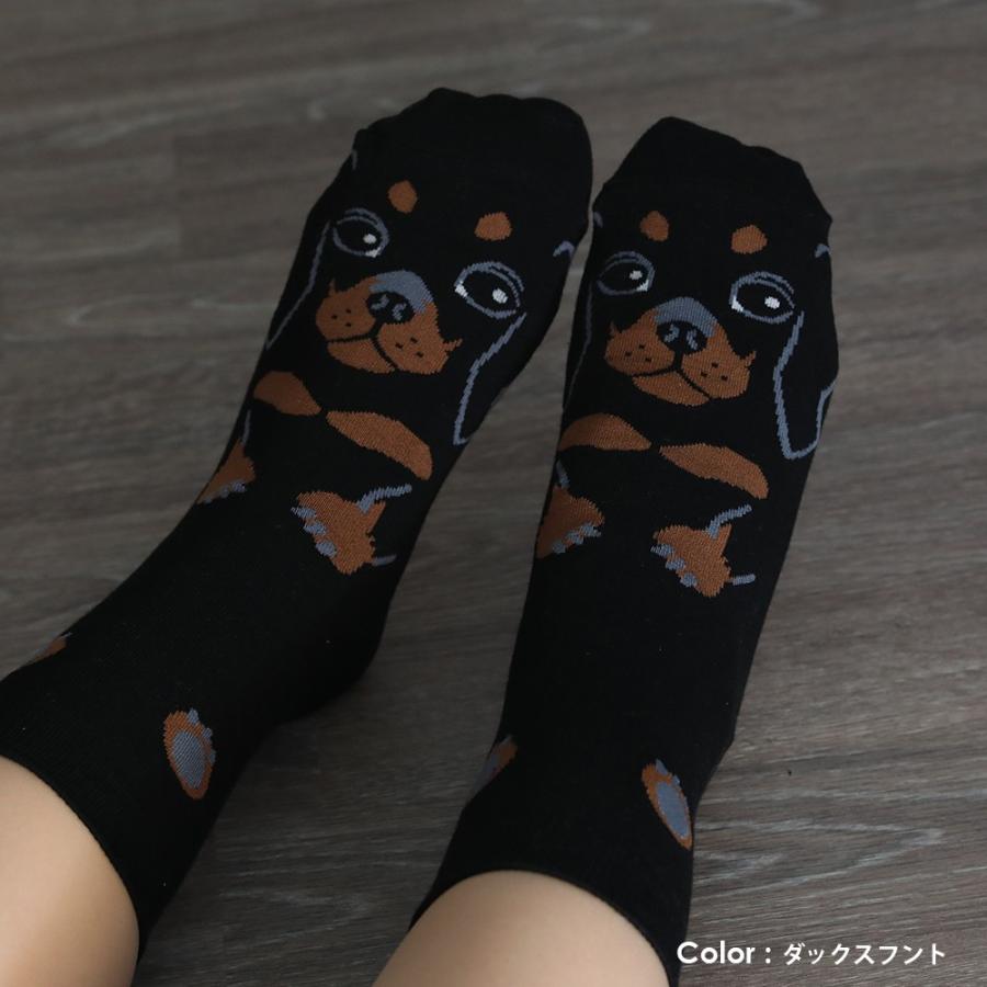 靴下 クルーソックス イヌ 丸ごと ワンコ 犬 おしゃれ 可愛い 犬好き 愛犬家 ギフト プレゼント Rso 0031 Ricerca リチェルカ 通販 Yahoo ショッピング