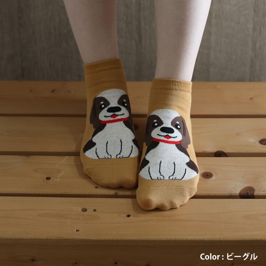 専用！170.ソックドッグ.シュナウザー.ソックモンキー 専用！170.ソックドッグ.シュナウザー.ソックモンキー