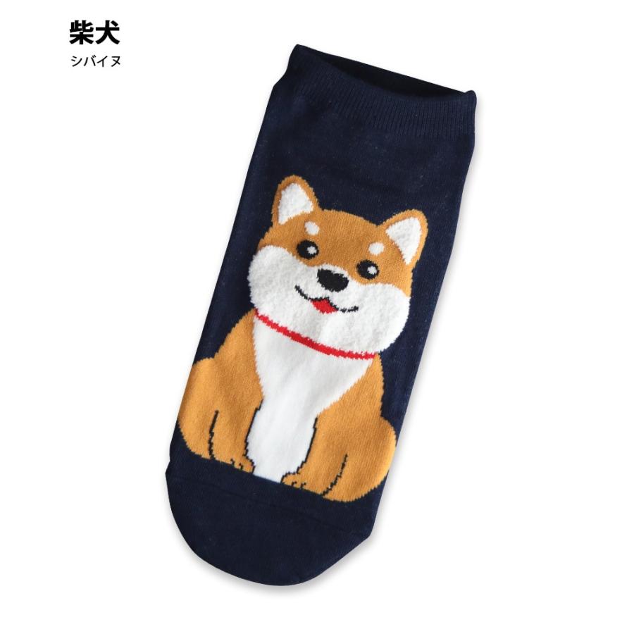 専用！170.ソックドッグ.シュナウザー.ソックモンキー 専用！170.ソックドッグ.シュナウザー.ソックモンキー