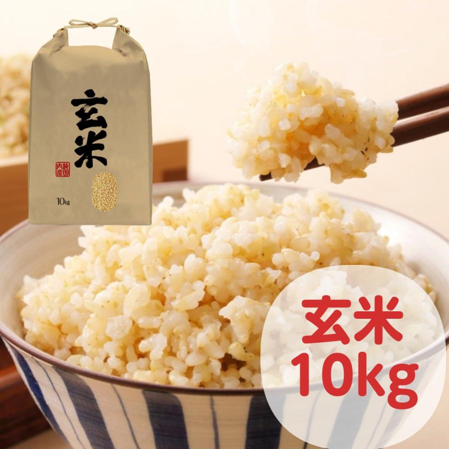 買得 玄米 20kg 送料無料 国内産 農家直送米 玄米色彩選別済み 玄米20kg お米