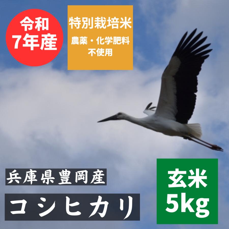コシヒカリ 兵庫県豊岡産 玄米 5kg 農薬不使用【令和7年産】（無農薬
