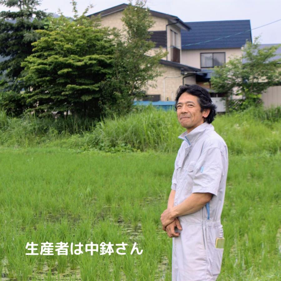 ササニシキ 無農薬 玄米 5kg 有機JAS 無農薬玄米 令和6年産 宮城 ササニシキ 無農薬 玄米 5kg 有機JAS 無農薬玄米 令和6年産 宮城