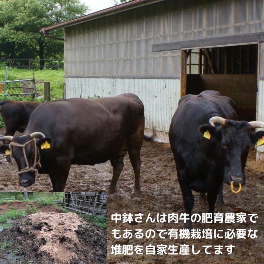 ササニシキ  無農薬 玄米 5kg 有機JAS 無農薬玄米 令和5年産 宮城県産　米アレルギー　あっさり　和食向け｜riceshop｜06