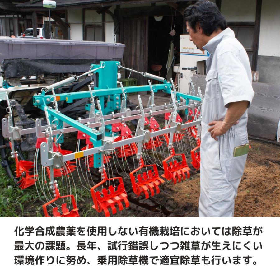 ササニシキ  無農薬 玄米 5kg 有機JAS 無農薬玄米 令和5年産 宮城県産　米アレルギー　あっさり　和食向け｜riceshop｜04