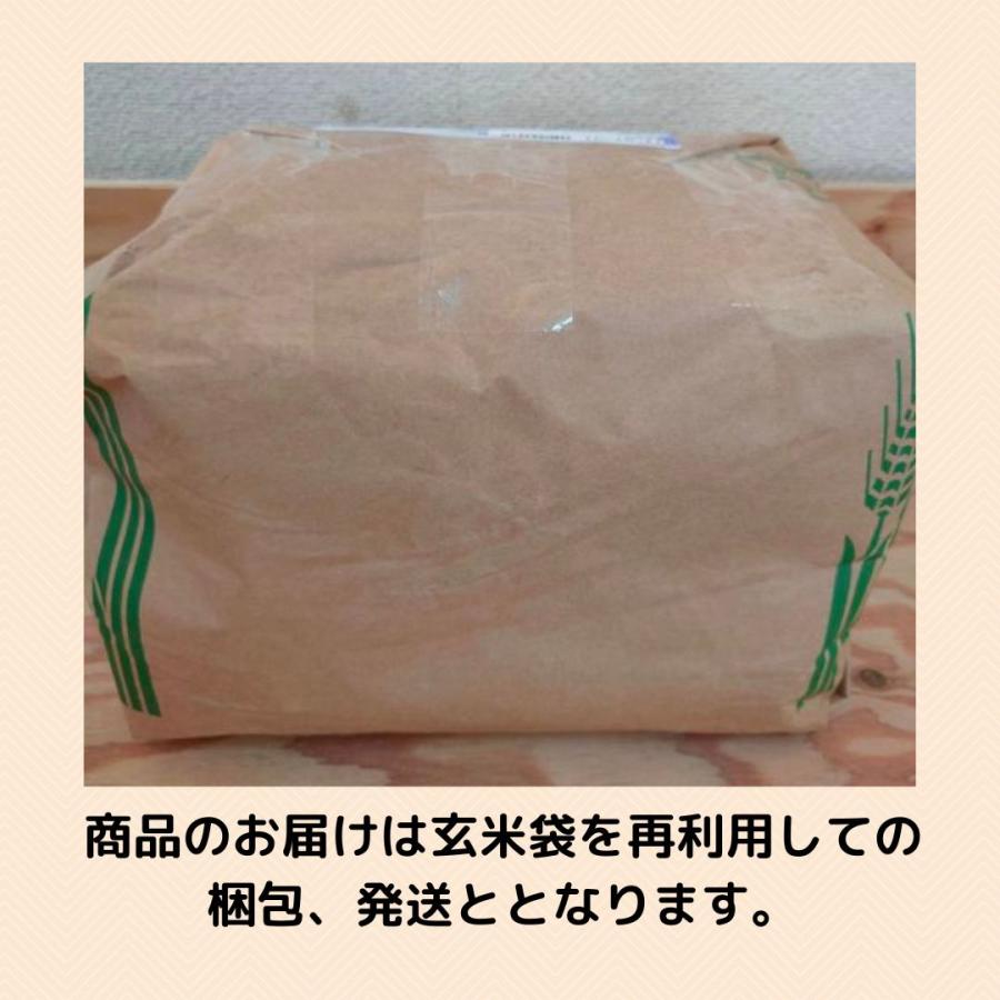 ササニシキ  無農薬 玄米 5kg 有機JAS 無農薬玄米 令和5年産 宮城県産　米アレルギー　あっさり　和食向け｜riceshop｜10