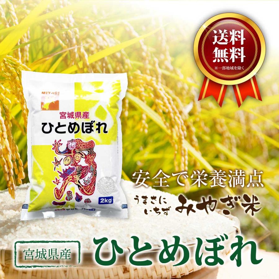 ひとめぼれ 新米 2kg 少量 お試し 宮城県産 米 お米 令和7年産 送料