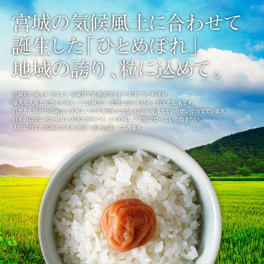 ひとめぼれ 新米 2kg 少量 お試し 宮城県産 米 お米 令和7年産 送料
