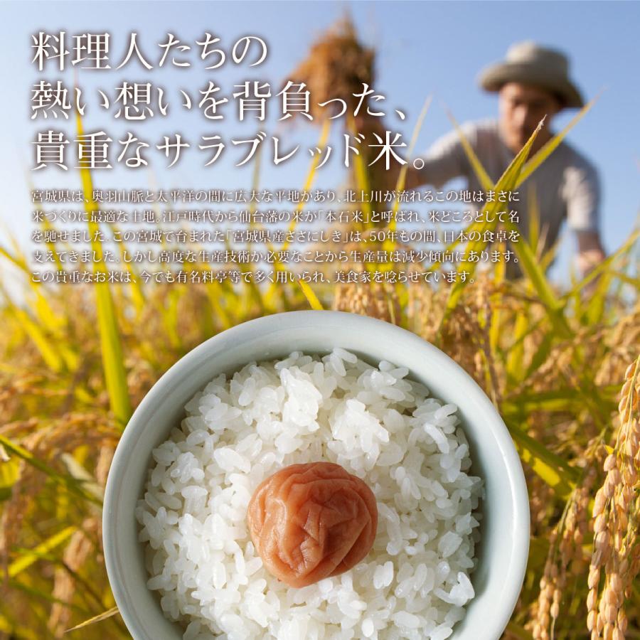 ササニシキ 2kg 少量 お試し 米 2kg お米 白米 宮城県産 令和7年産