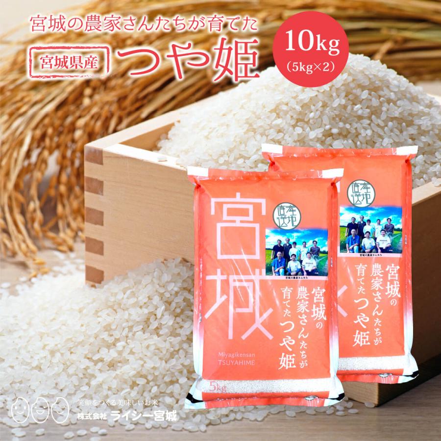 つや姫 10kg 米 米10kg お米 白米 宮城県産 令和7年産 送料無料 5kg×2