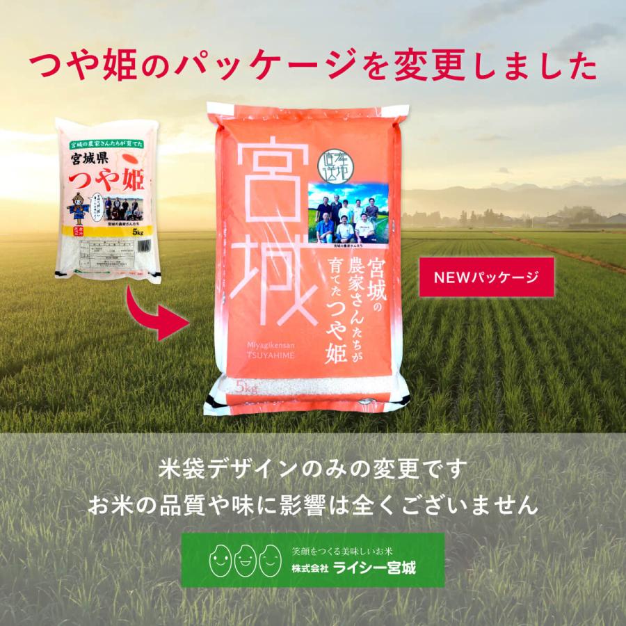 つや姫 10kg 米 米10kg お米 白米 宮城県産 令和7年産 送料無料 5kg×2