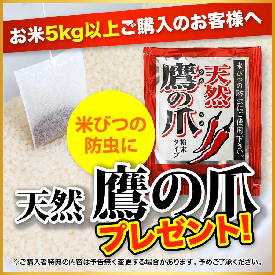 つや姫 10kg 米 米10kg お米 白米 宮城県産 令和7年産 送料無料 5kg×2