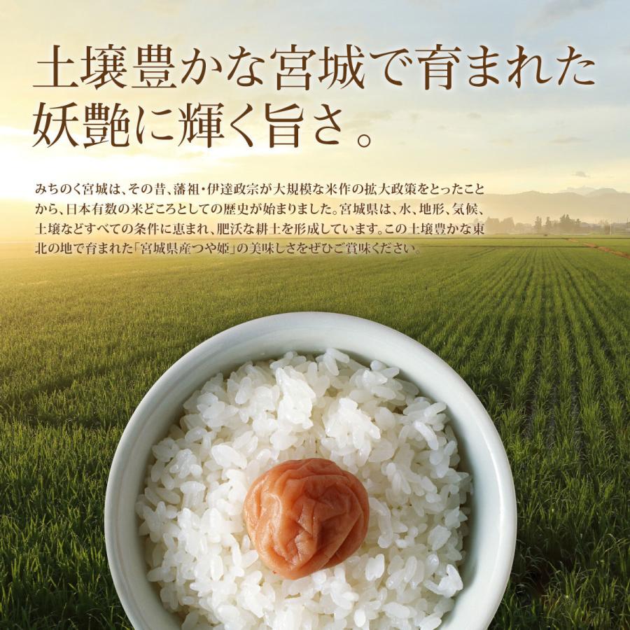 食品 つや姫 10kg 白米