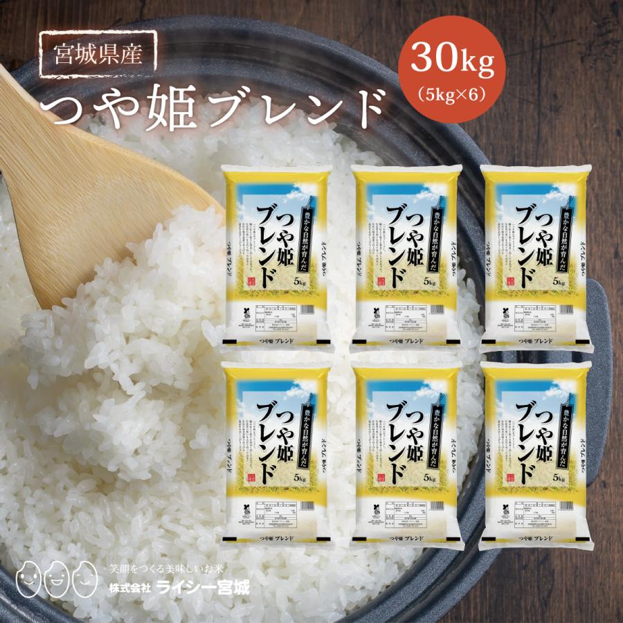 食品 つや姫 令和6年産 宮城県 登米産 30kg