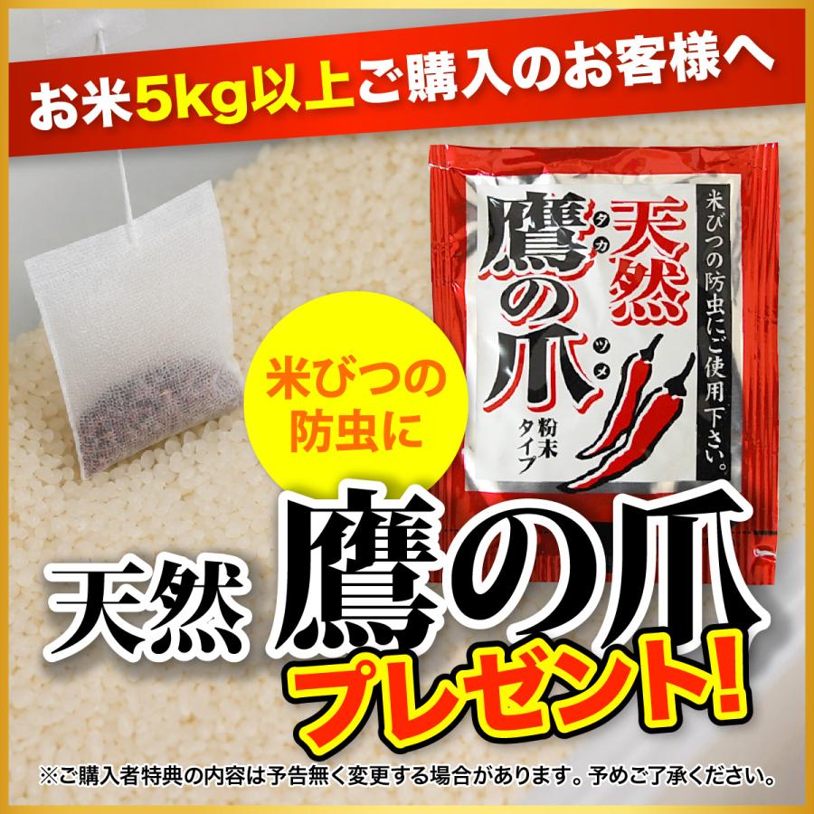 つや姫 つや姫ブレンド 5kg 米 家計応援 米5kg お米 白米 宮城県産