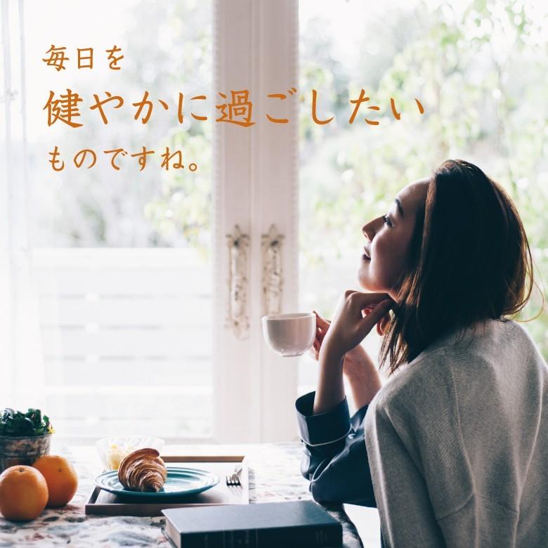 ヘスペリジン ビタミンP サプリ 国内生産 アミノ酸 250mg含有 60