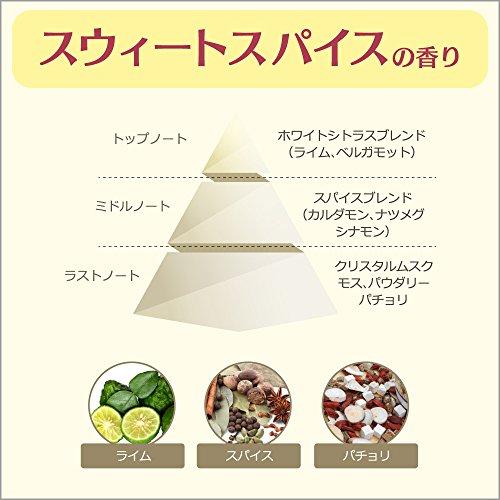 フレアフレグランス 柔軟剤 スウィート&スパイスの香り 本体 570ml 