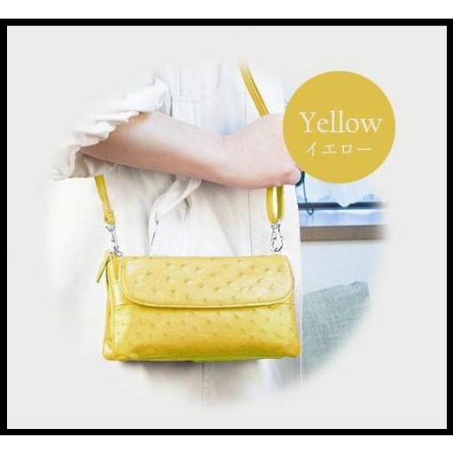 Costoromaオーストリッチ ポーチウォレット イエロー お財布ポシェット