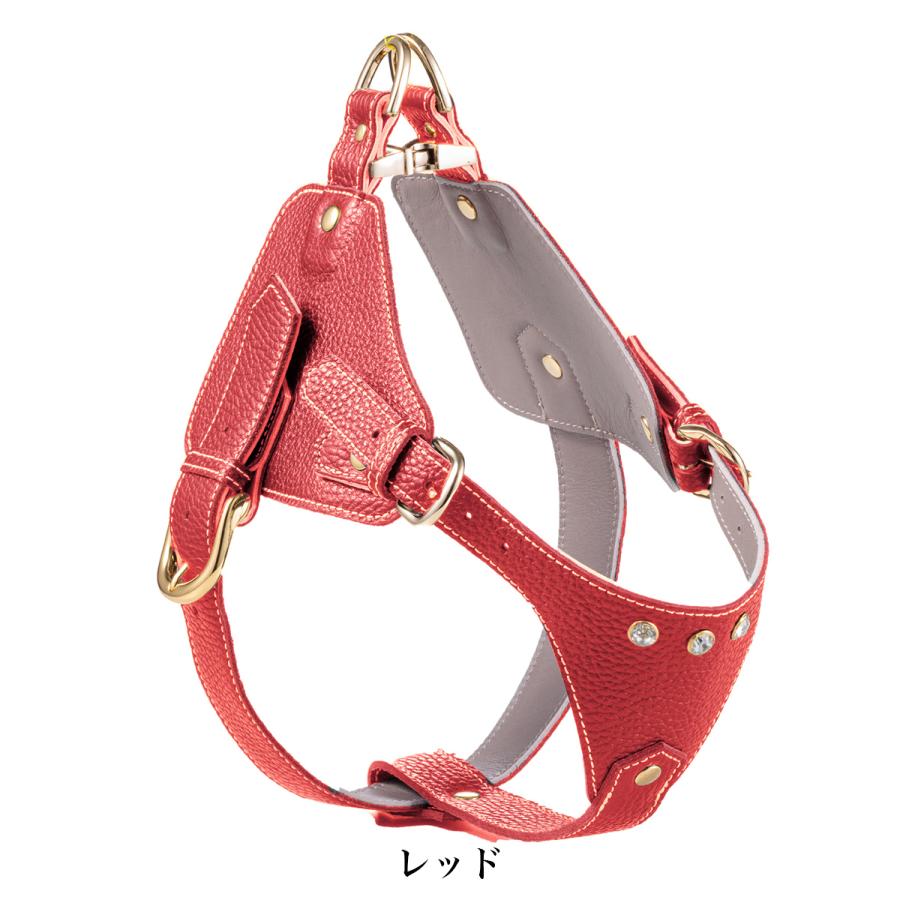 エヌアンドエフ ペット ハーネス＆リードセット 小型犬 ハーネス