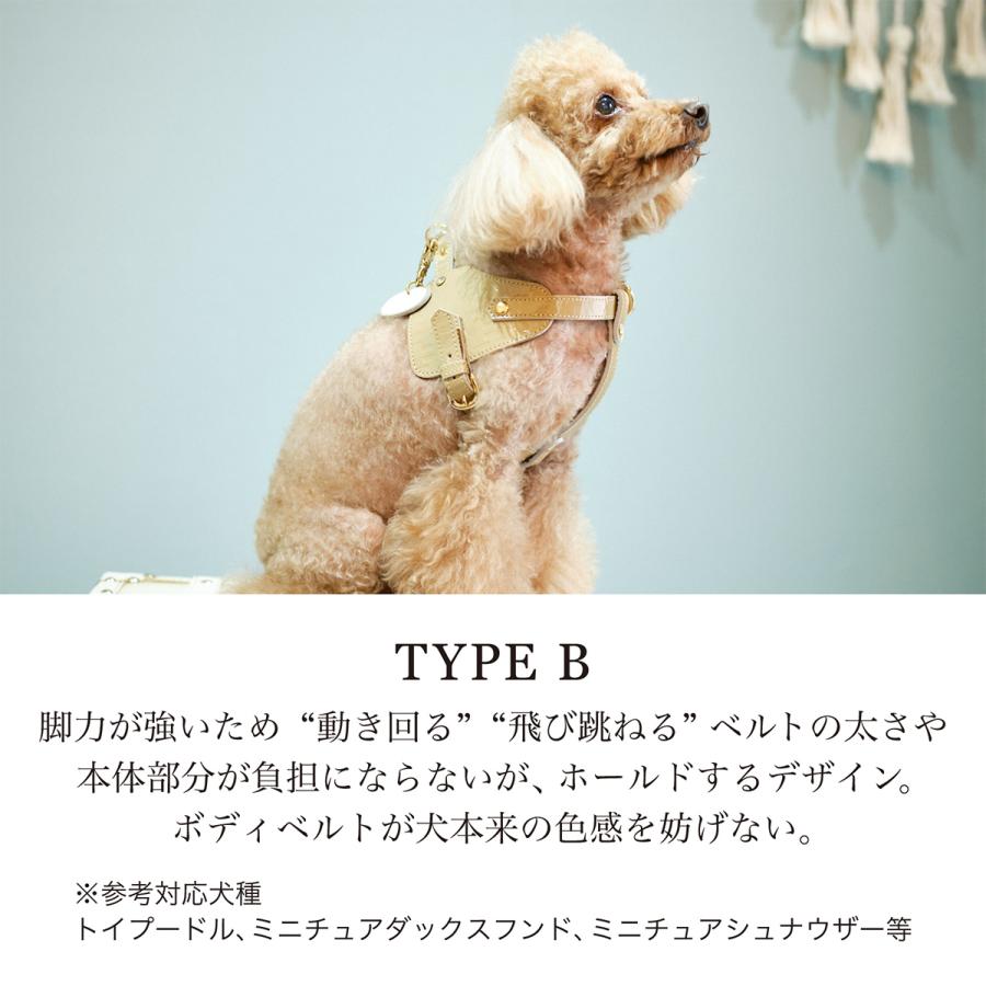 エヌアンドエフ ペット ハーネス＆リードセット 小型犬 ハーネス ボディベルト リード レザー 本革 日本製 N＆F for pets TYPE-B ジュエリーエンボス_8