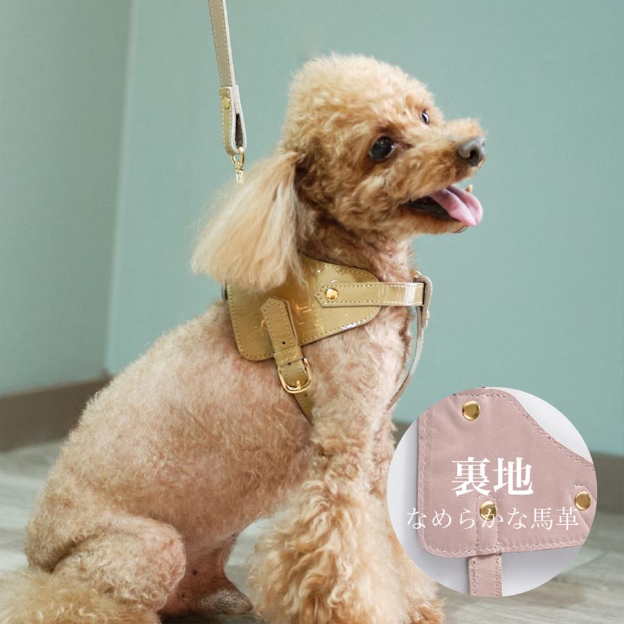エヌアンドエフ ペット ハーネス＆リードセット 小型犬 ハーネス ボディベルト リード レザー 本革 日本製 N＆F for pets TYPE-B ジュエリーエンボス_10