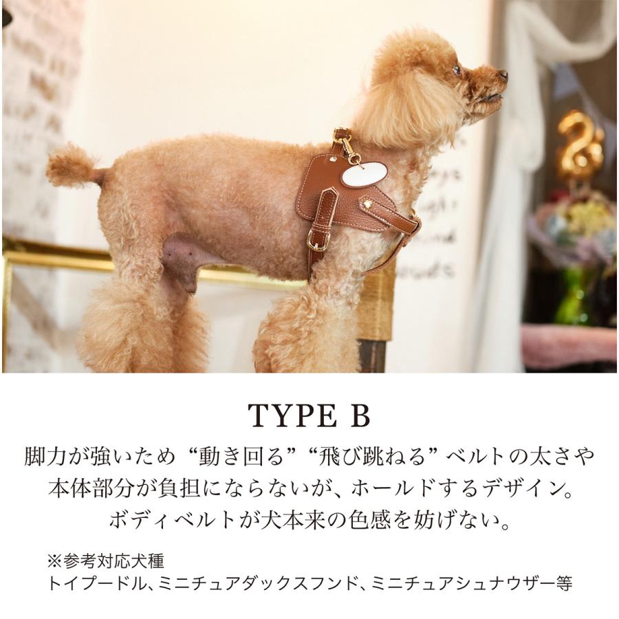 エヌアンドエフ ペット ハーネス＆リードセット 小型犬 ハーネス ボディベルト リード レザー 本革 日本製 N＆F for pets TYPE-B ナチュラル_8