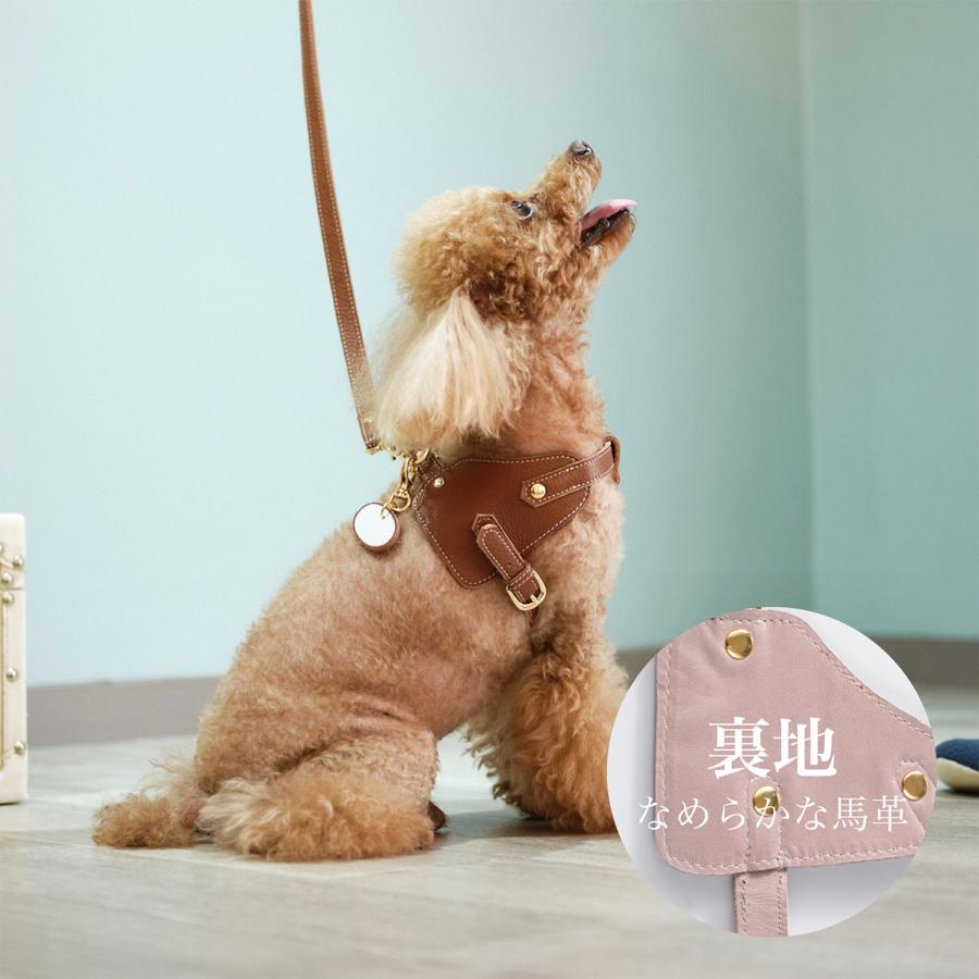 エヌアンドエフ ペット ハーネス＆リードセット 小型犬 ハーネス ボディベルト リード レザー 本革 日本製 N＆F for pets TYPE-B ナチュラル_10