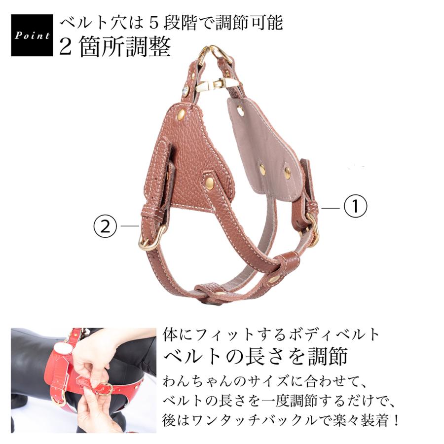 エヌアンドエフ ペット ハーネス＆リードセット 小型犬 ハーネス ボディベルト リード レザー 本革 日本製 N＆F for pets TYPE-B ナチュラル_11