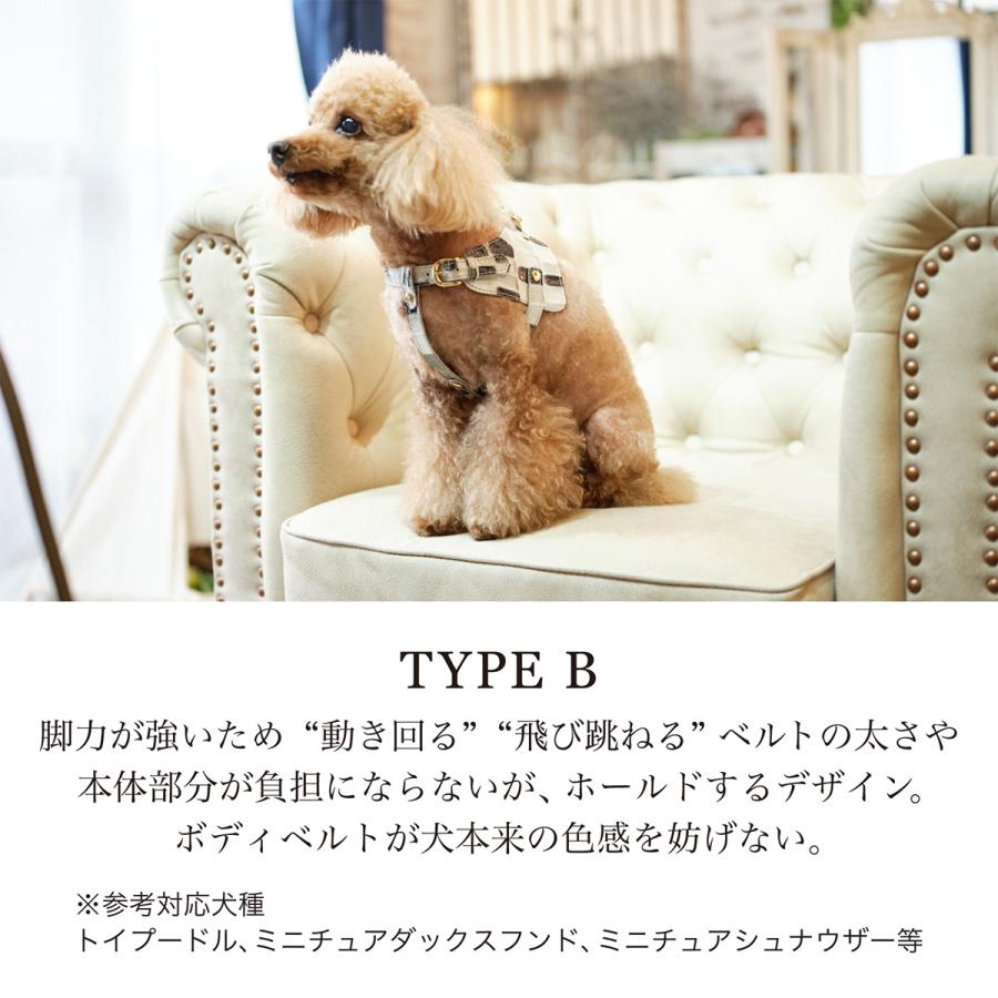 エヌアンドエフ ペット ハーネス＆リードセット 小型犬 ハーネス ボディベルト リード レザー 本革 日本製 N＆F for pets TYPE-B ジュエリータイル
