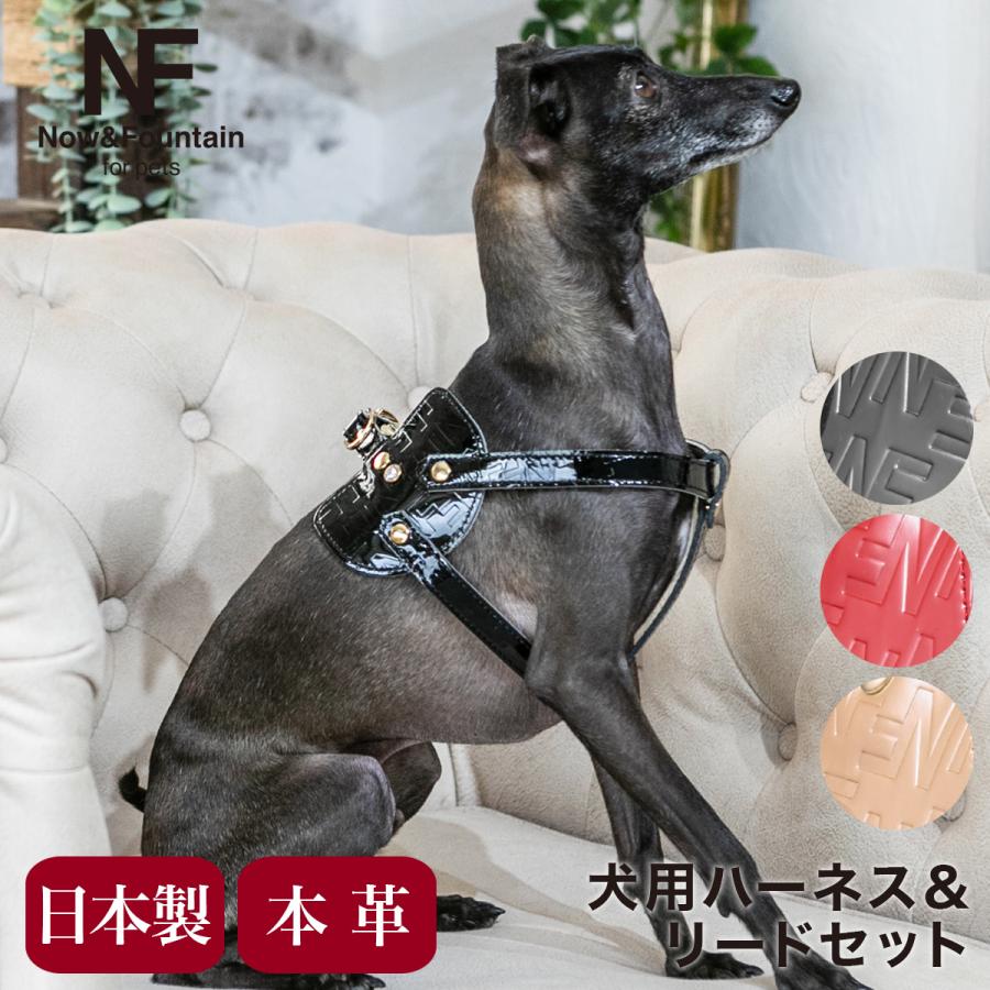 本革　ハーネス　リードのセット エヌアンドエフ ペット ハーネス＆リードセット 小型犬 ハーネス