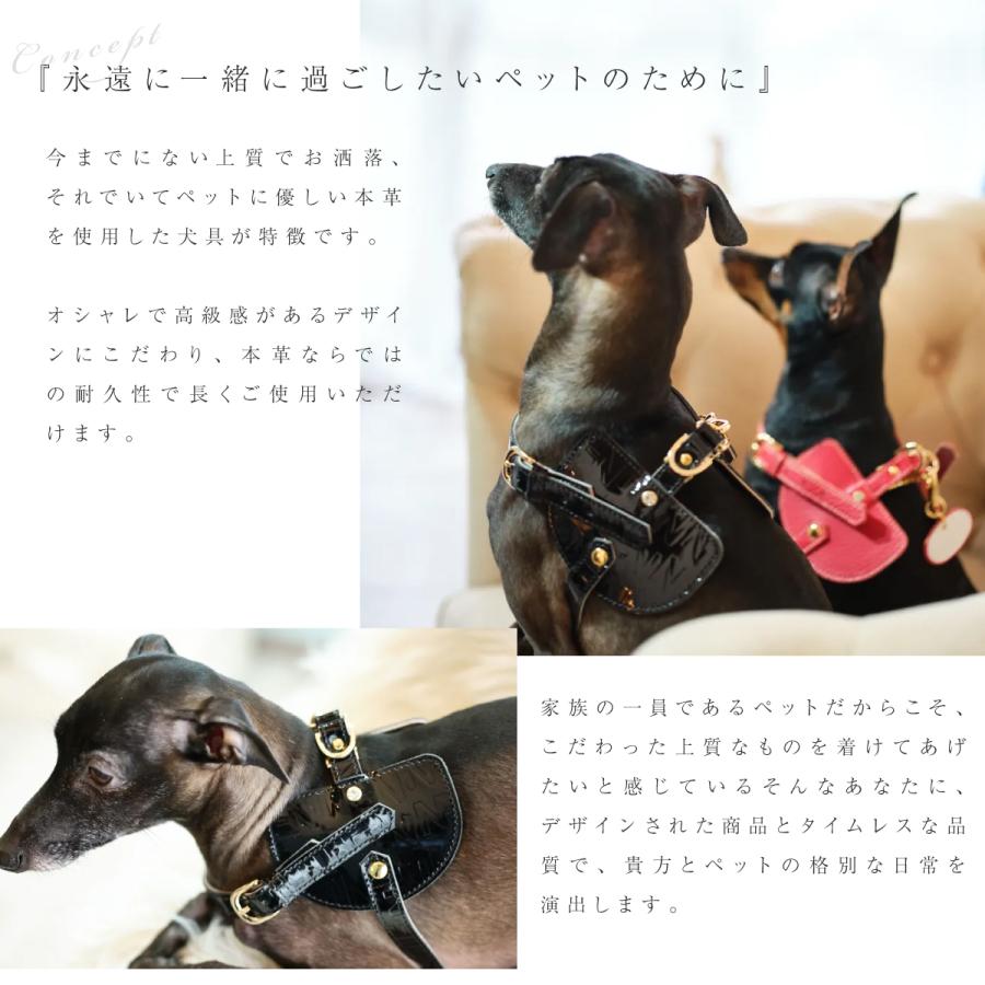 エヌアンドエフ ペット ハーネス＆リードセット 小型犬 ハーネス ボディベルト リード レザー 本革 日本製 N＆F for pets TYPE-C ジュエリータイル