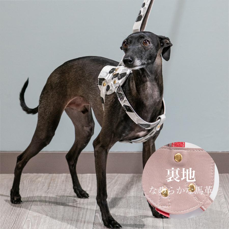 エヌアンドエフ ペット ハーネス＆リードセット 小型犬 ハーネス ボディベルト リード レザー 本革 日本製 N＆F for pets TYPE-C ジュエリータイル