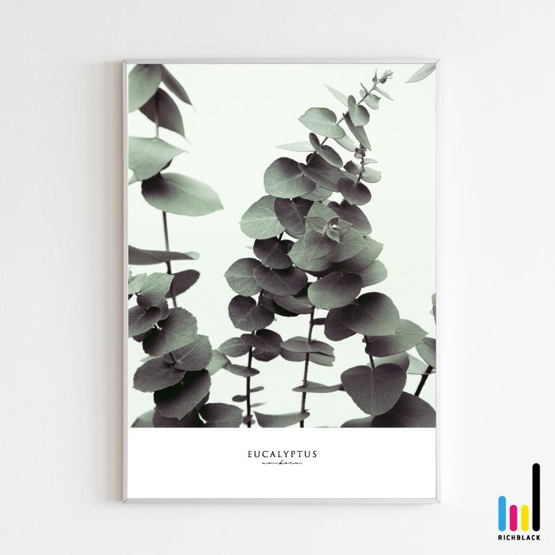 送料無料 ポスター A1 花言葉 ユーカリ その他インテリア雑貨 小物 Www Theopengate Org Il