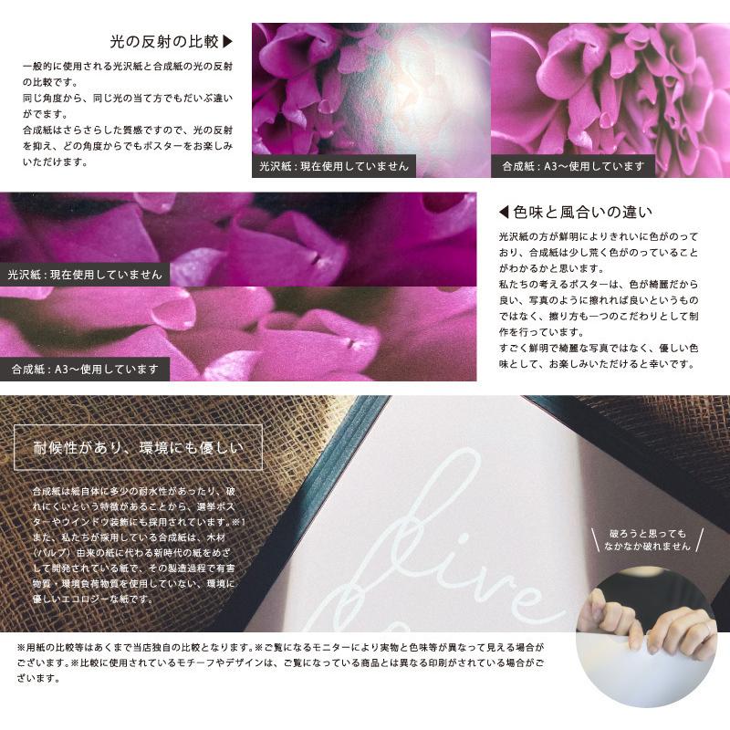 ポスター バンクシア ドライフラワー 花言葉 A3 バンクシャー Rb0236 4a3 Richblack 通販 Yahoo ショッピング